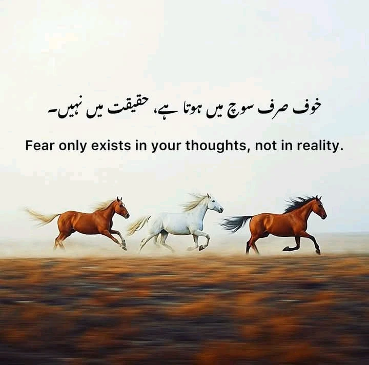 GIF uploaded by Naeem Malik