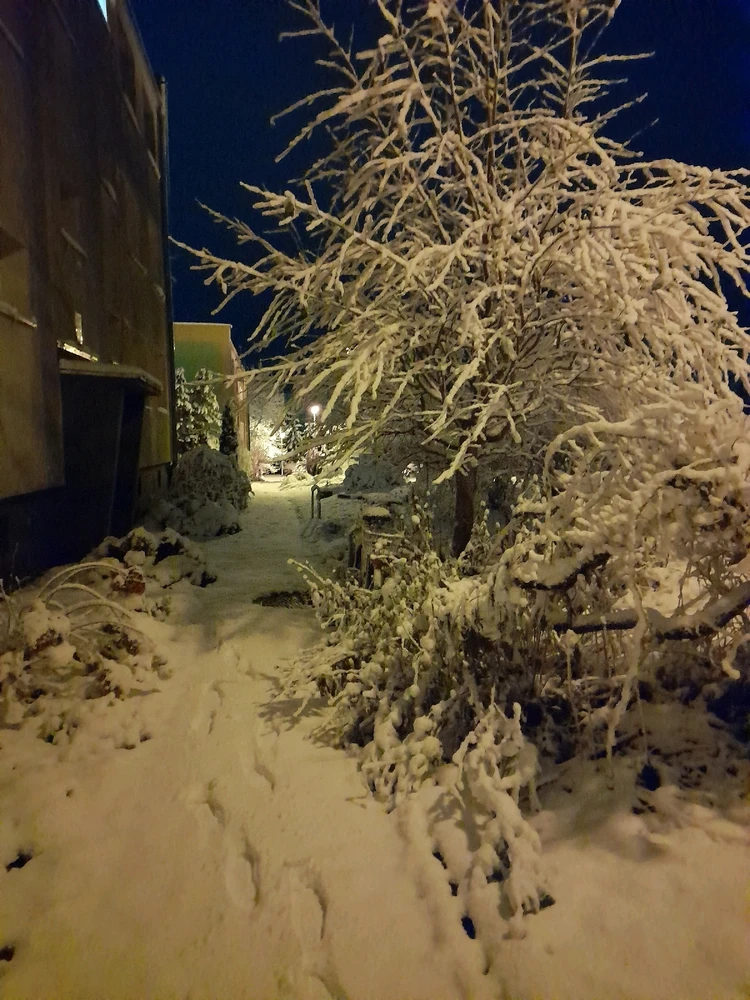 Zdjęcie dodane przez Artur