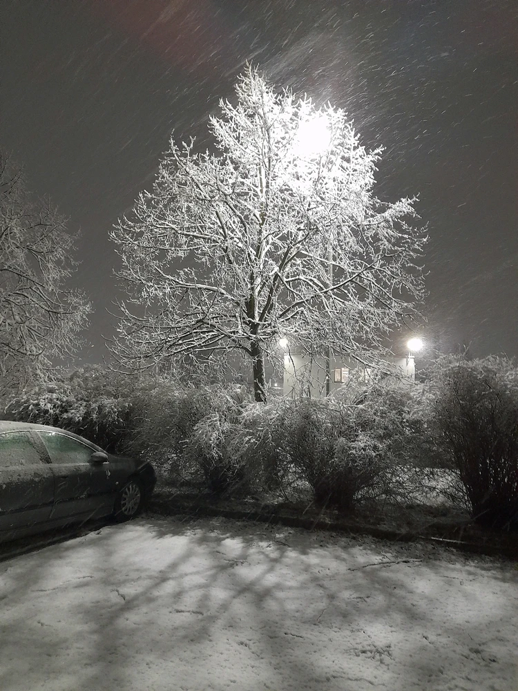 Zdjęcie dodane przez Artur
