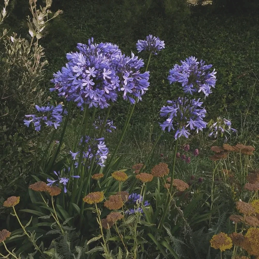 GIF ajouté par Gaëlle