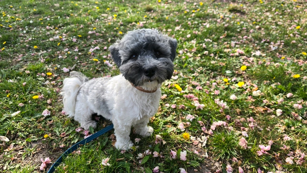 GIF uploaded by Thomas