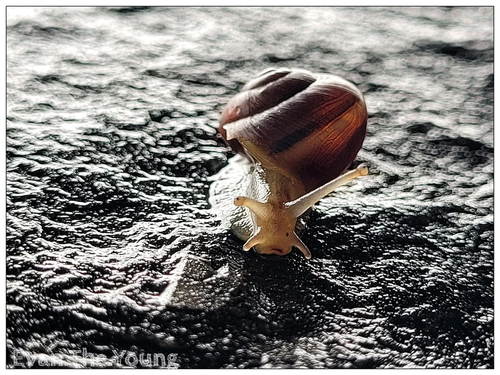 Image uploaded by Evan