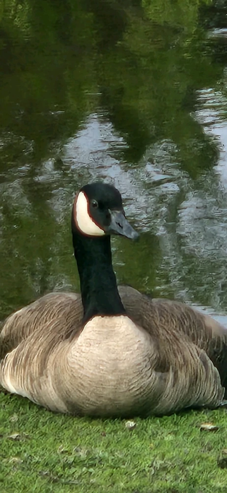 GIF uploaded by Kamari