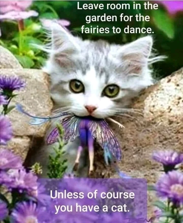 GIF otpremio/la Đorđe