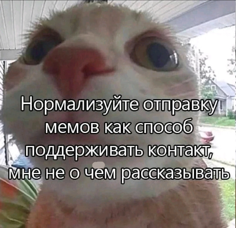 GIF загрузил Евгений