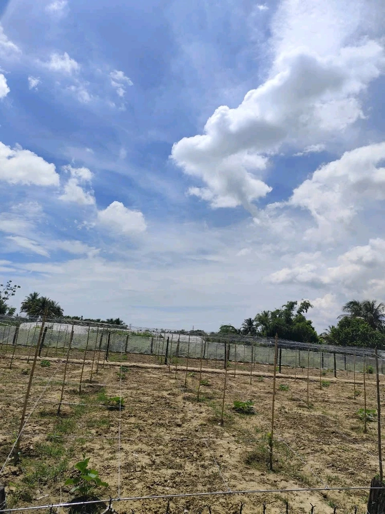 GIF được Pháp tải lên