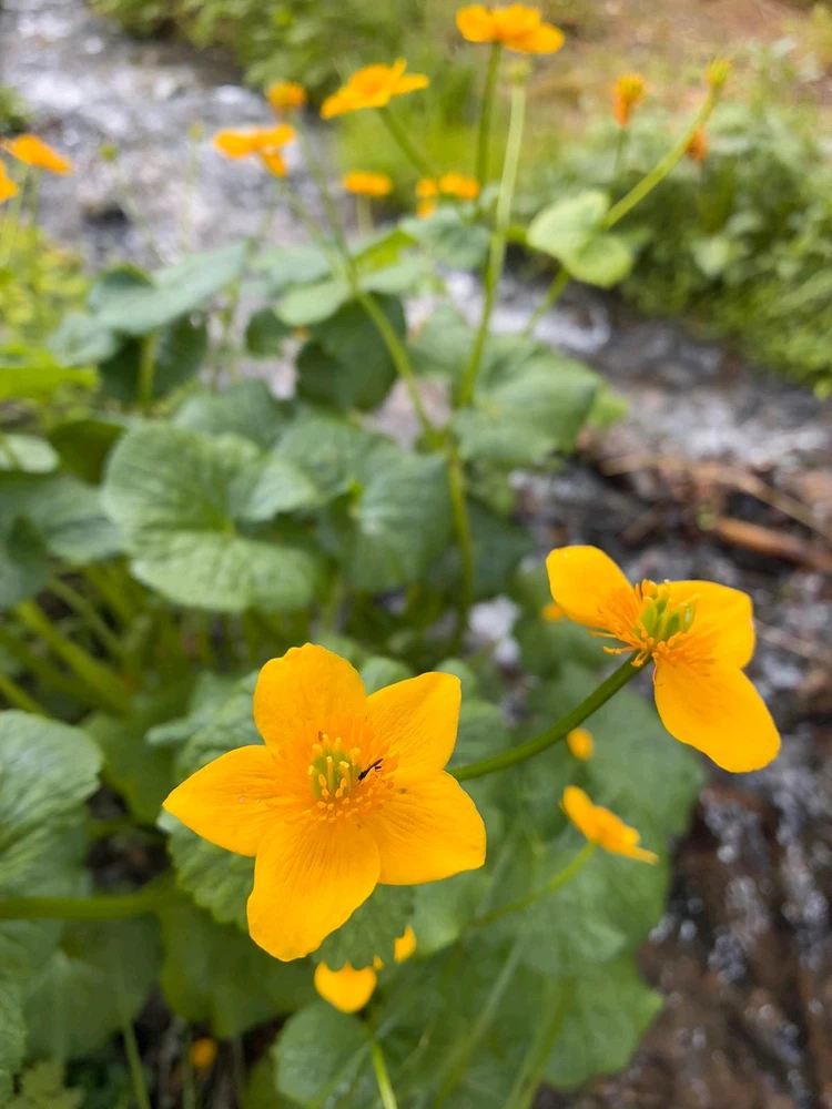 GIF hochgeladen von Tom