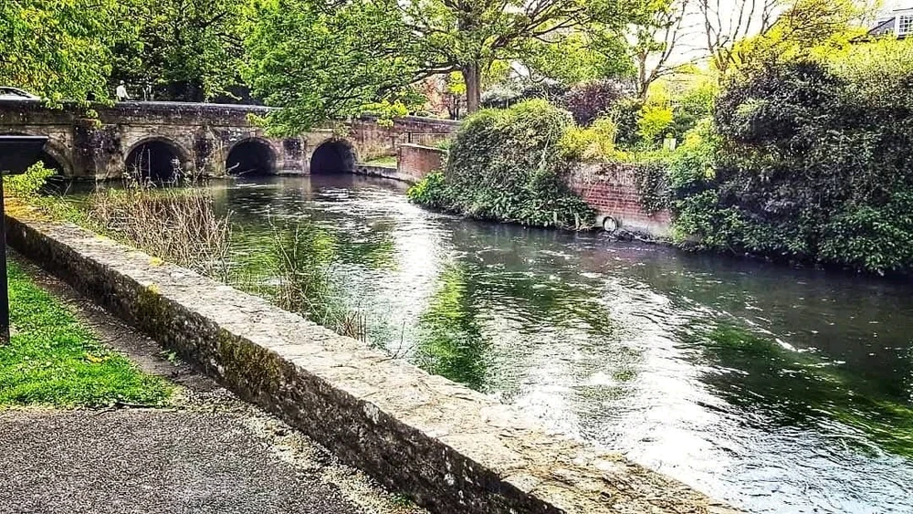 GIF uploaded by Angie