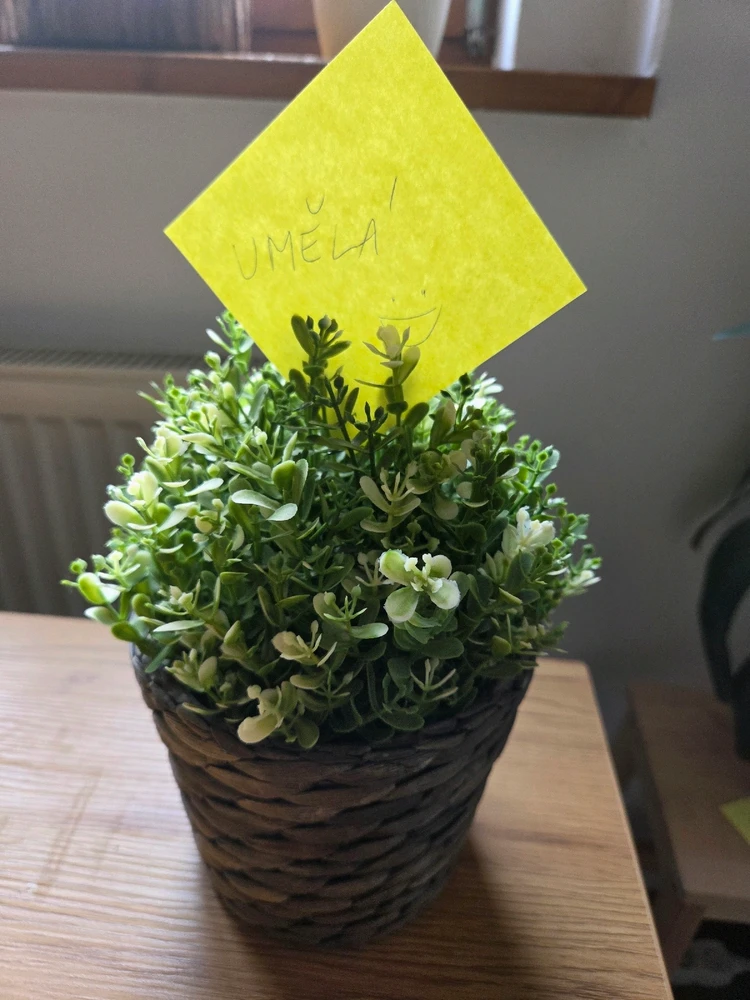 Obrázek nahrál Peťule