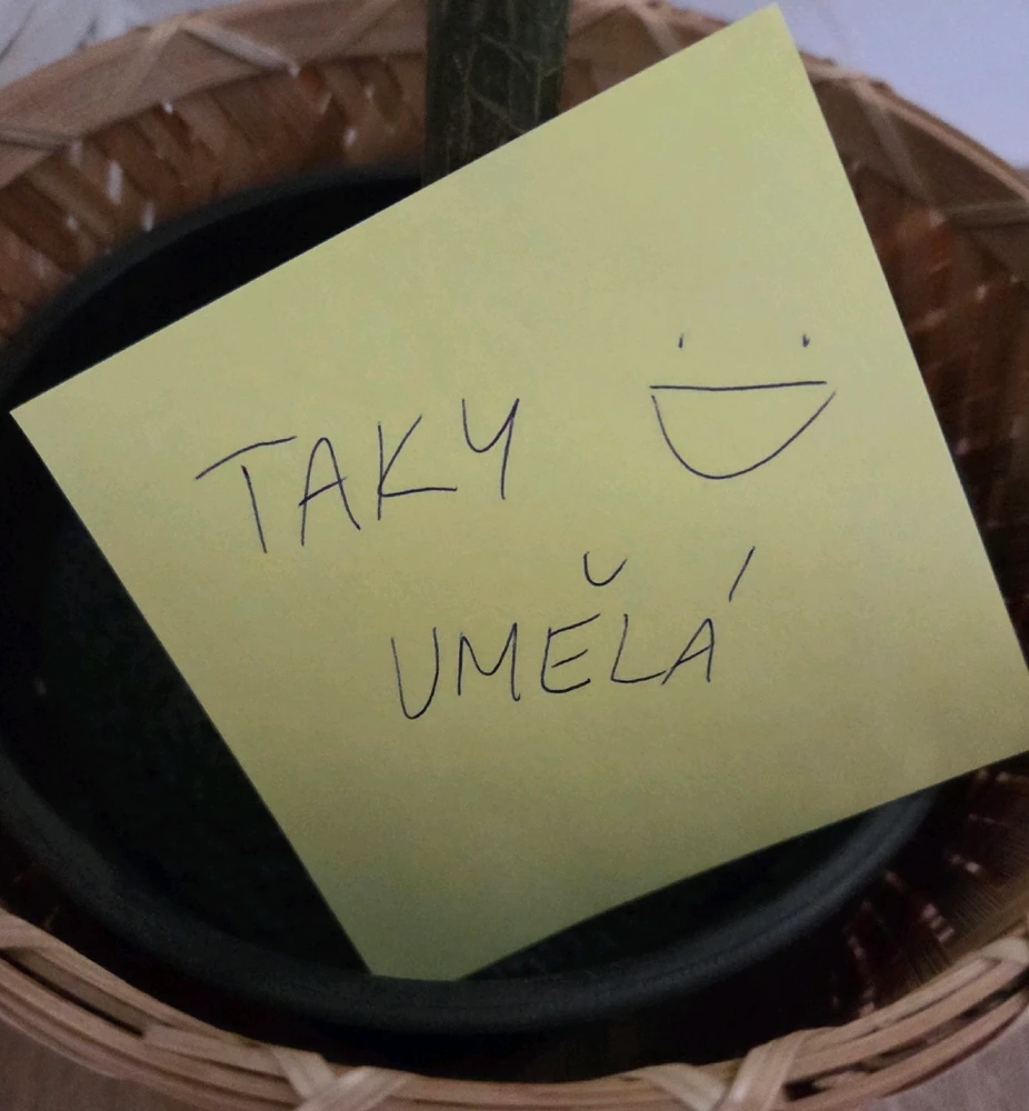 Obrázek nahrál Peťule