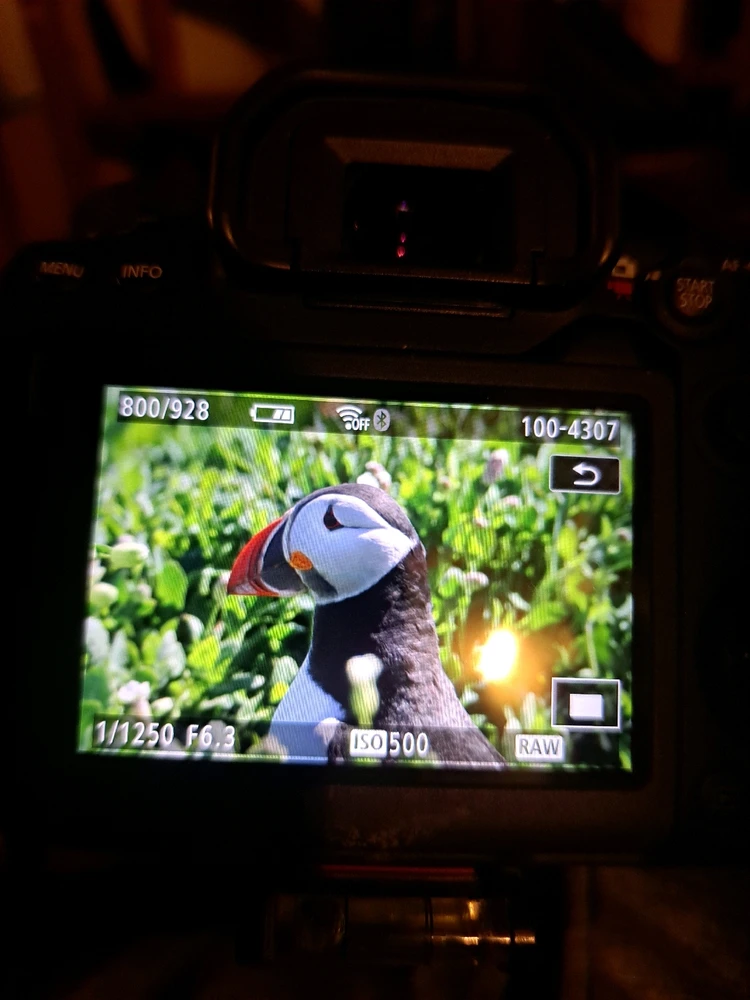 GIF diunggah dening JD