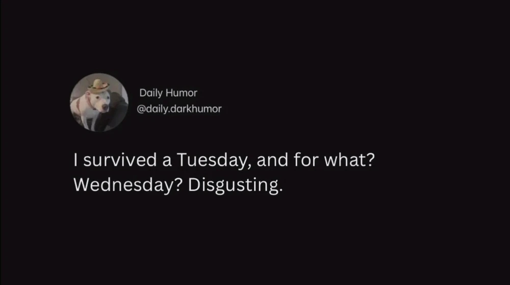 GIF uploaded by Michele