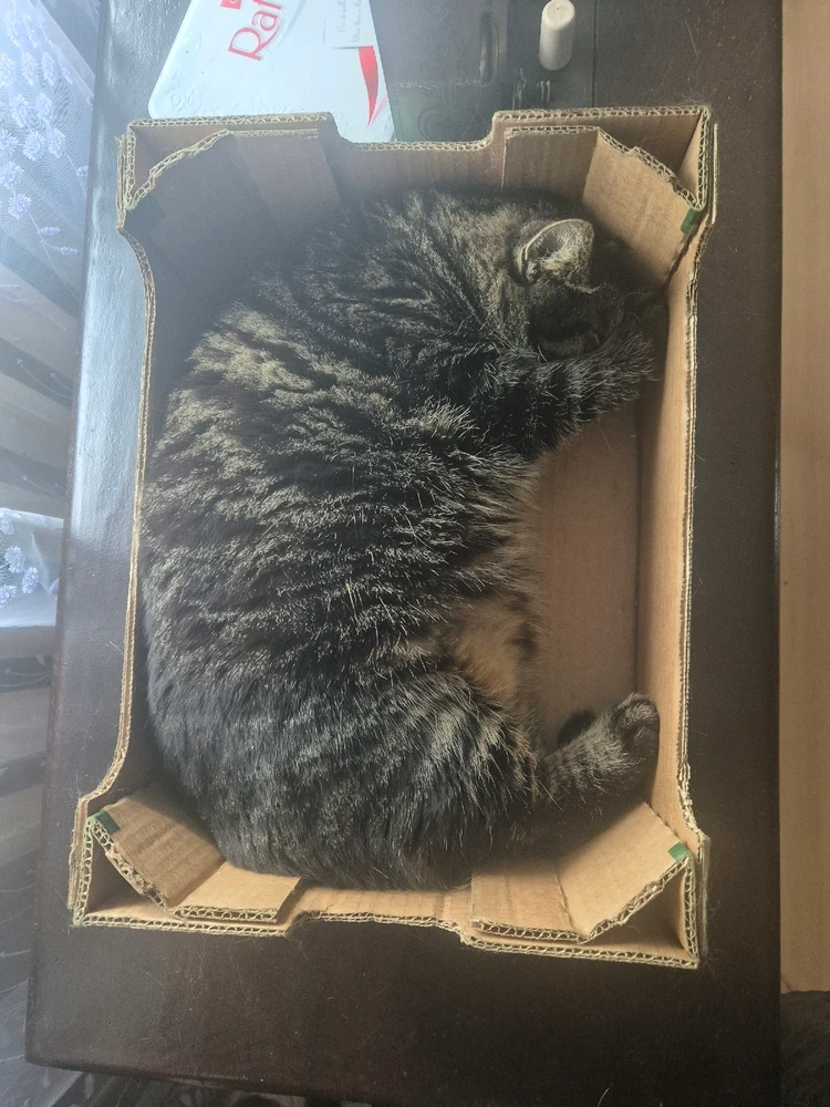 GIF įkėlė Arminas