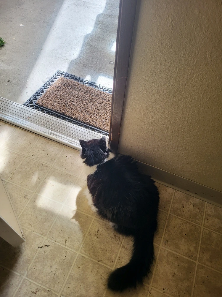 GIF uploaded by Dylan