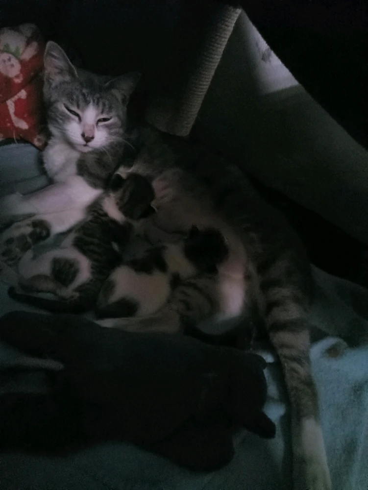 Imagen subida por Esteban