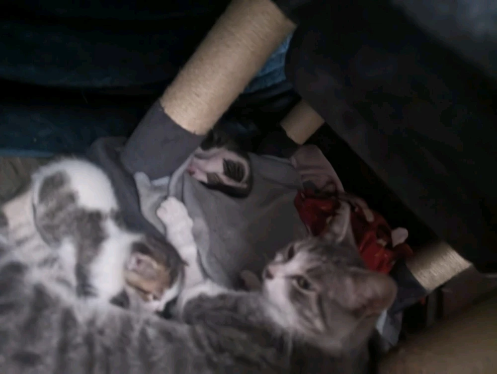 Imagen subida por Esteban