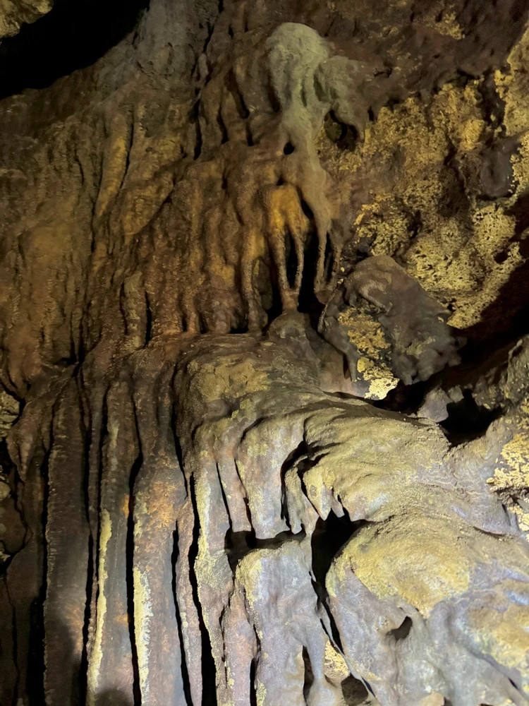 Image uploaded by Nicole