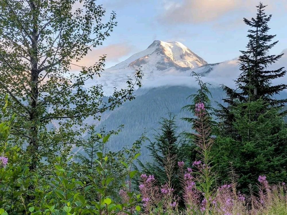 Image uploaded by 🇺🇲Daniel Fisk Bennett