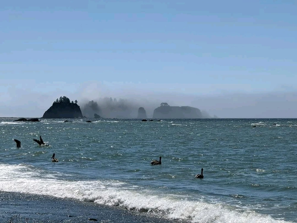 Image uploaded by 🇺🇲Daniel Fisk Bennett