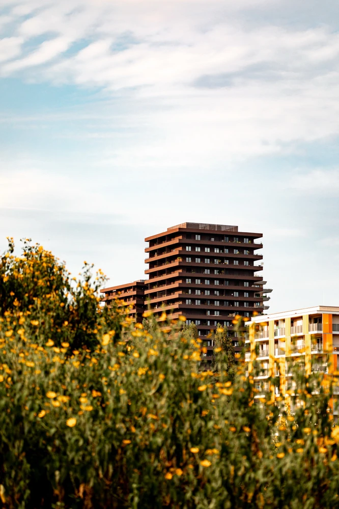 Bild hochgeladen von Melvyn