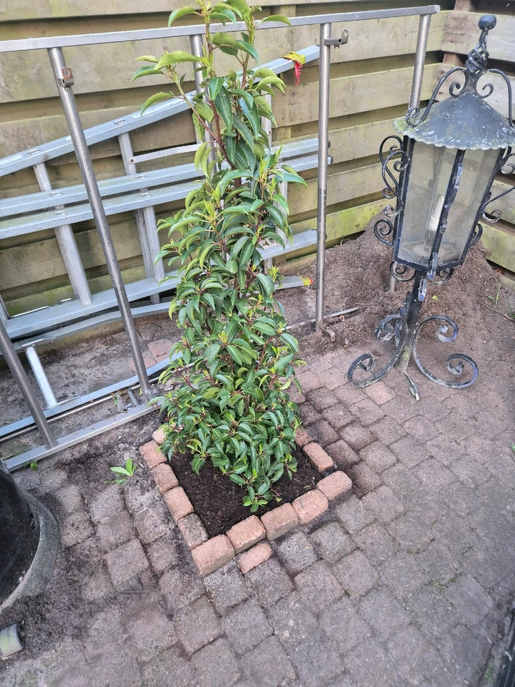 GIF geüpload door Kevin