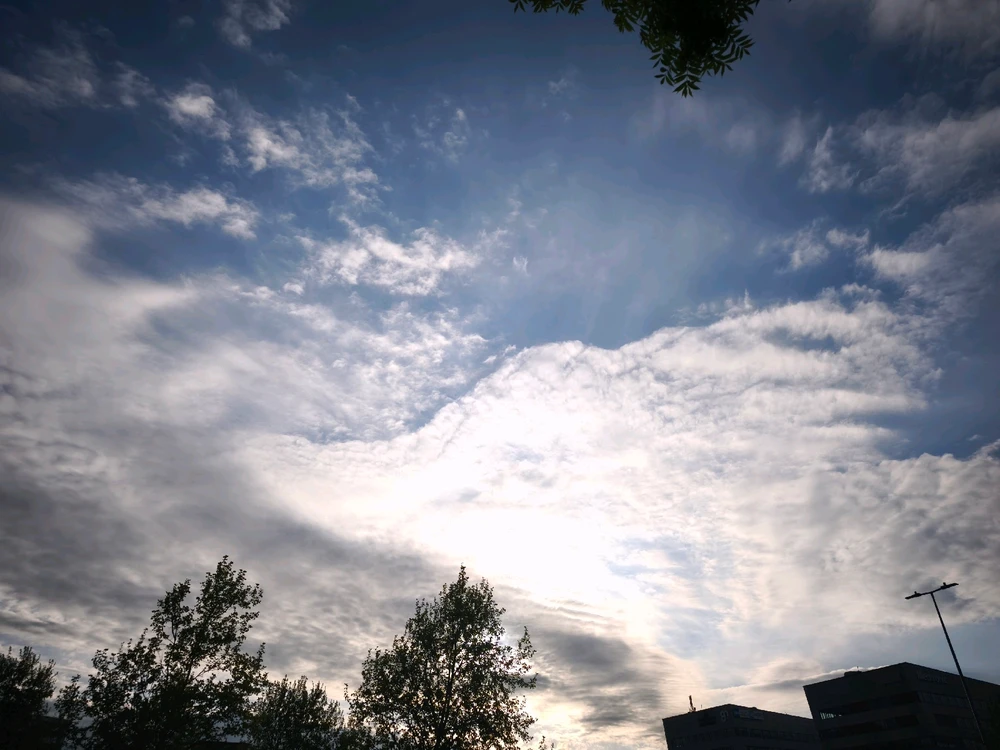 Obrázek nahrál 🧿