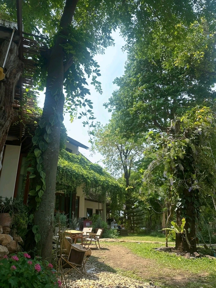 รูปที่อัพโหลดโดย Pong Pang