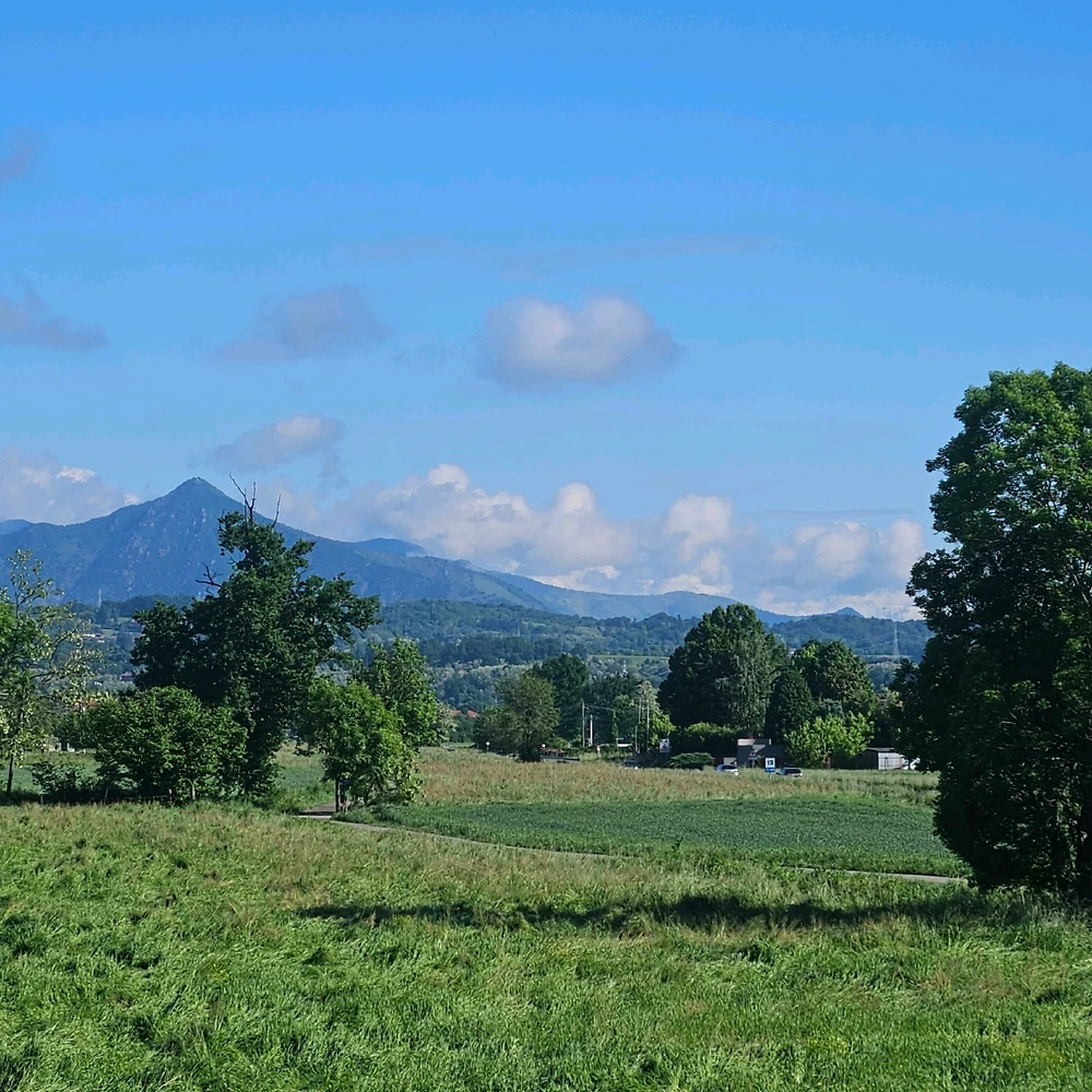 GIF caricata da Giuseppina