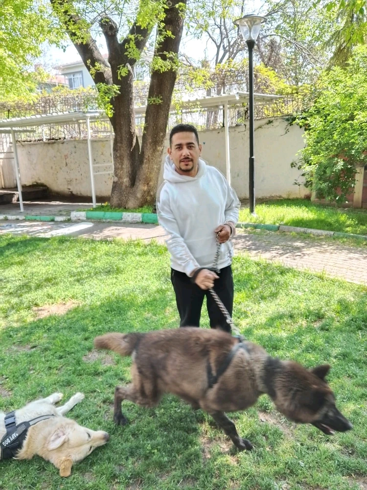 Yasin tarafından yüklenen görsel