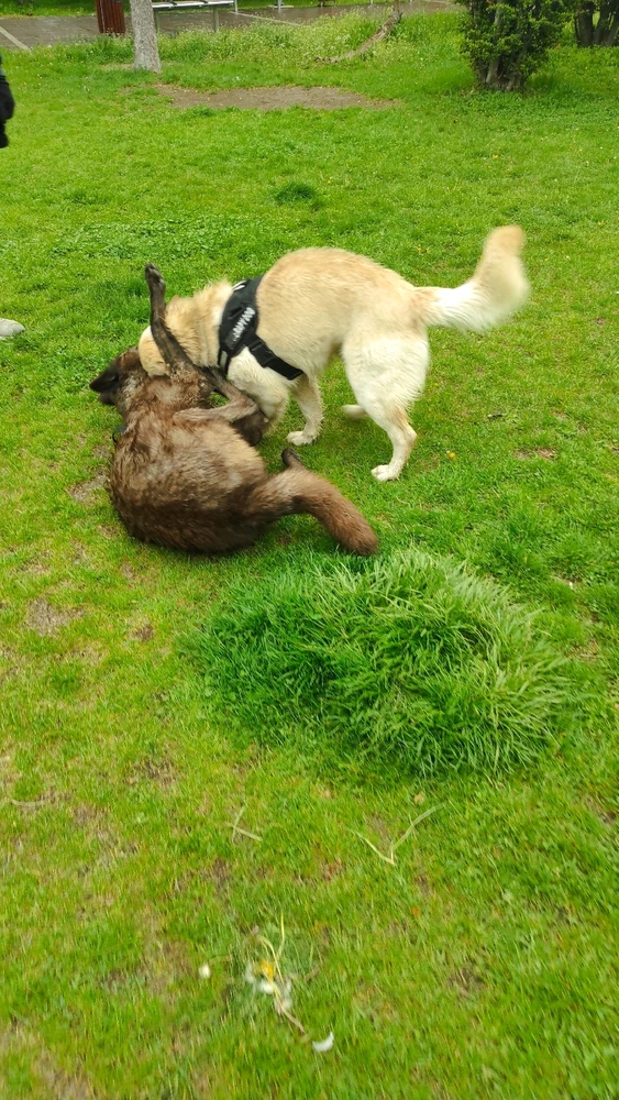 Yasin tarafından yüklenen görsel