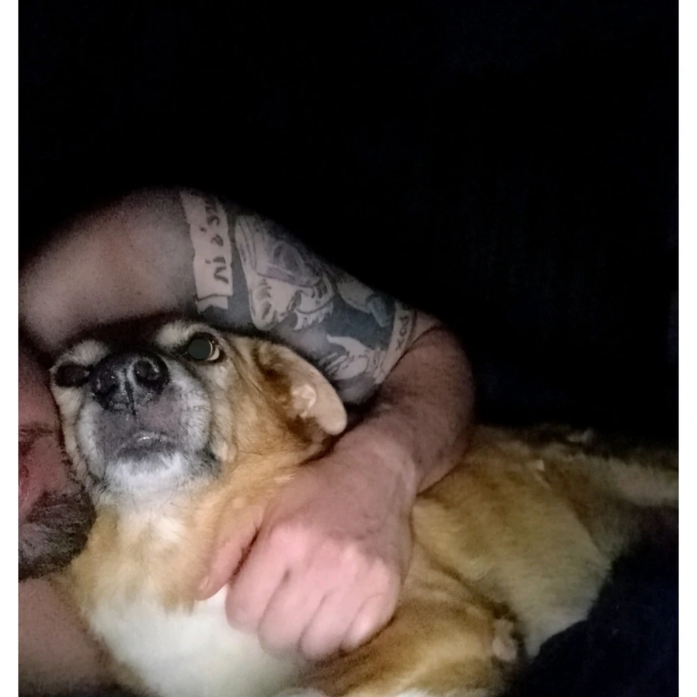 GIF enviado por Jonathan