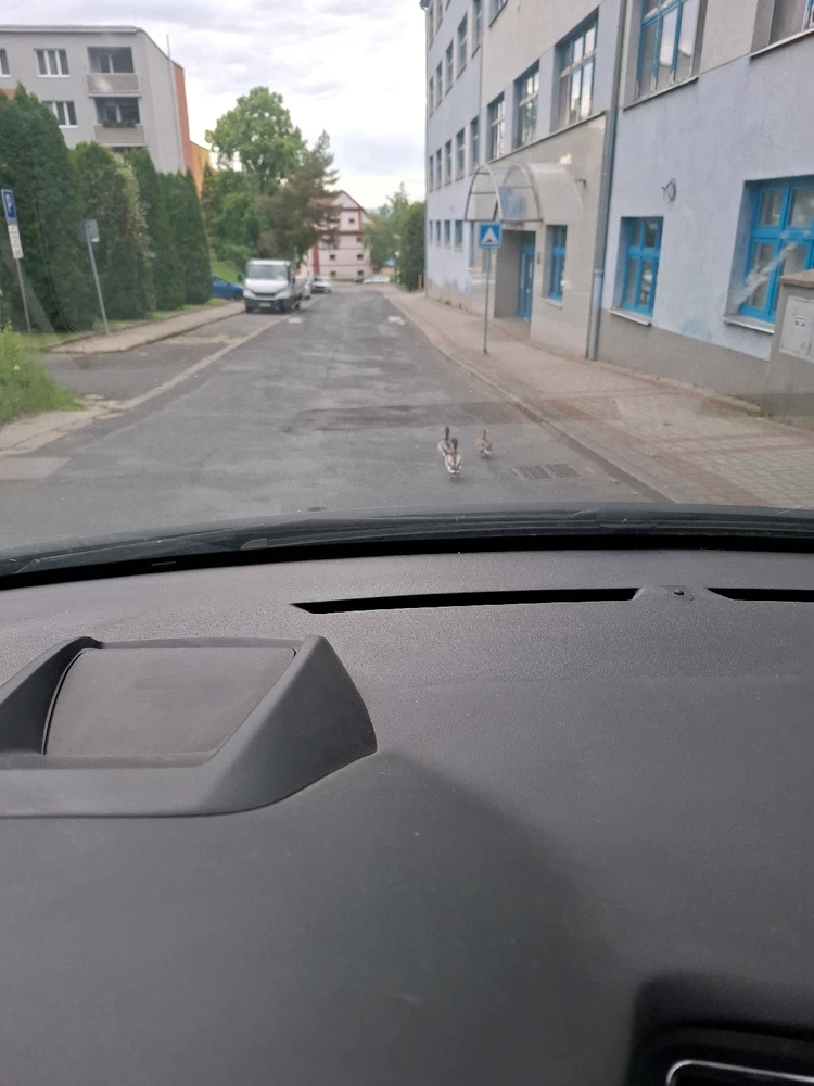 Obrázek nahrál Nora