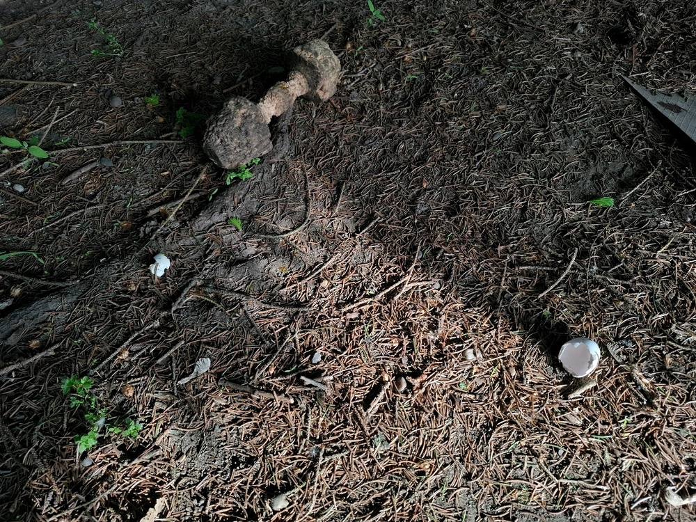 Obrázek nahrál Nora