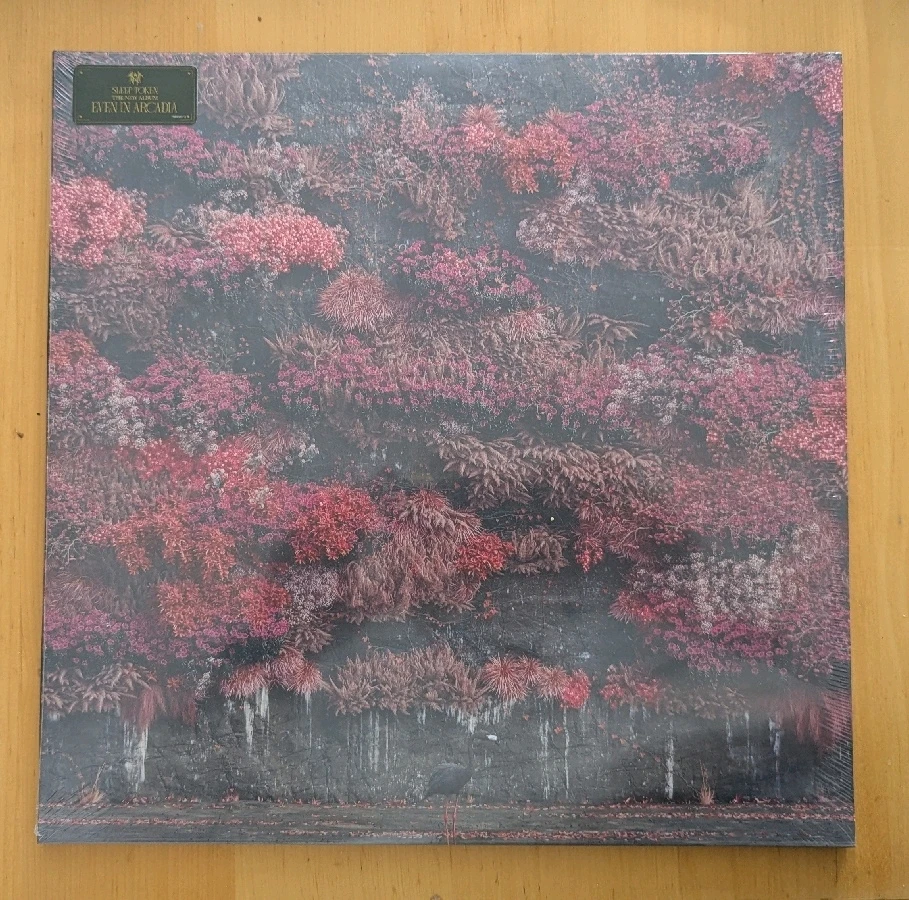 Bild hochgeladen von Klaus