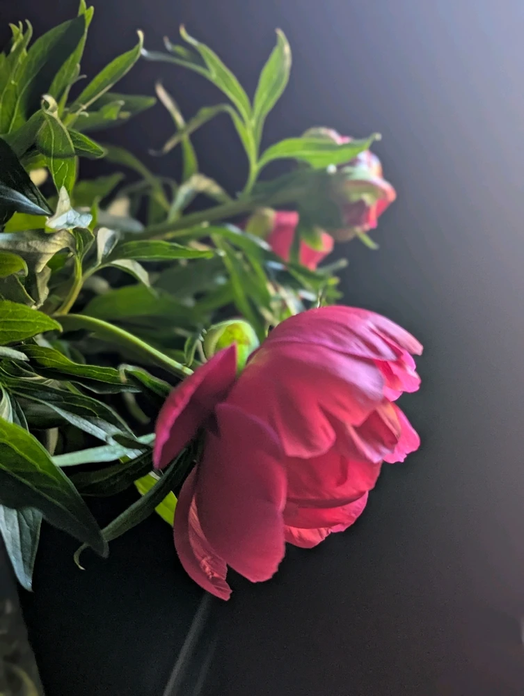 GIF hochgeladen von Iri