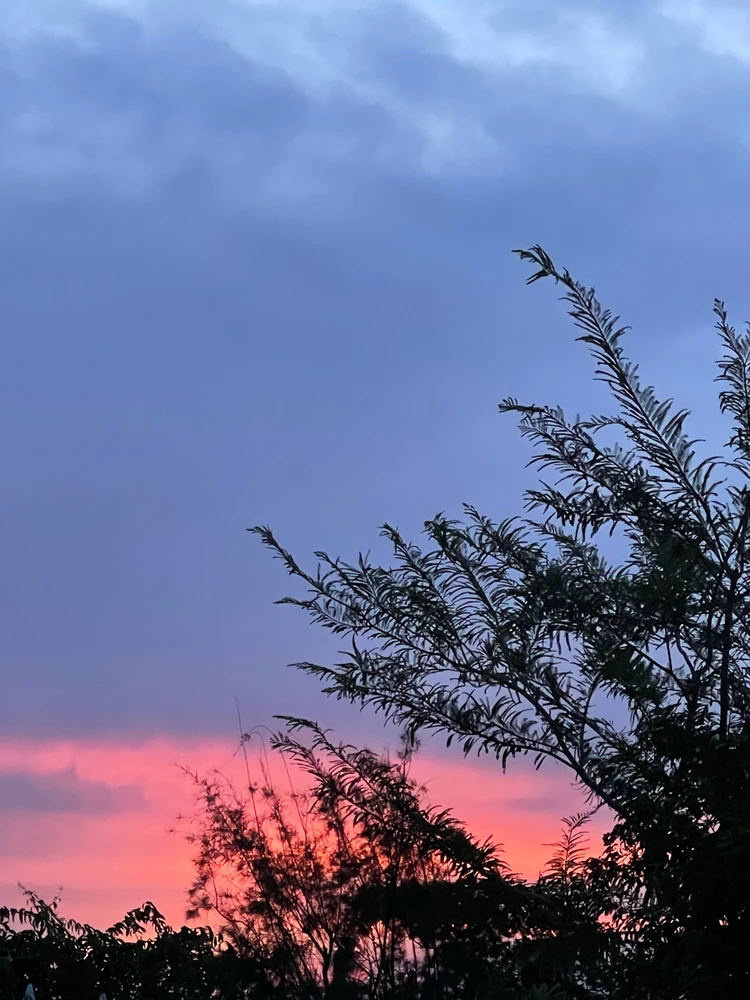 GIF uploaded by Kluay