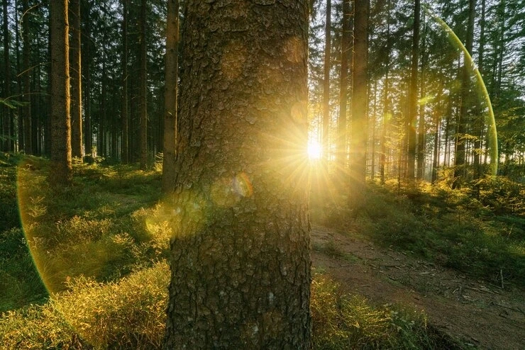 GIF enviado por Alan Moises