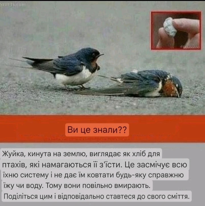 Зображення завантажив Natalia🦇