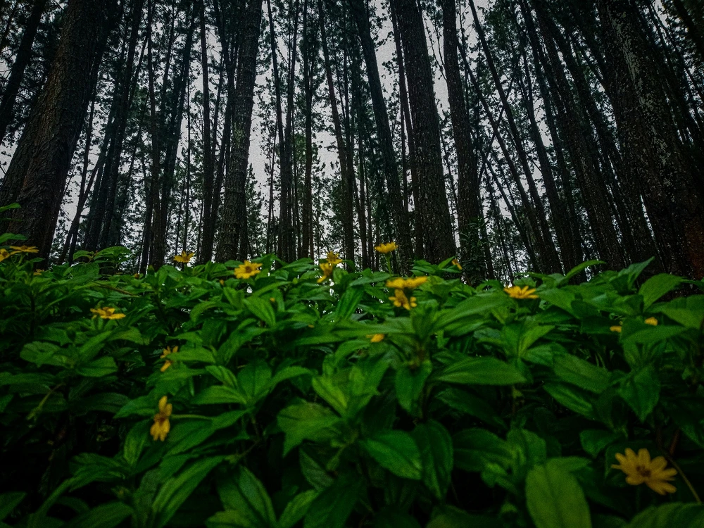 GIF uploaded by A Cash