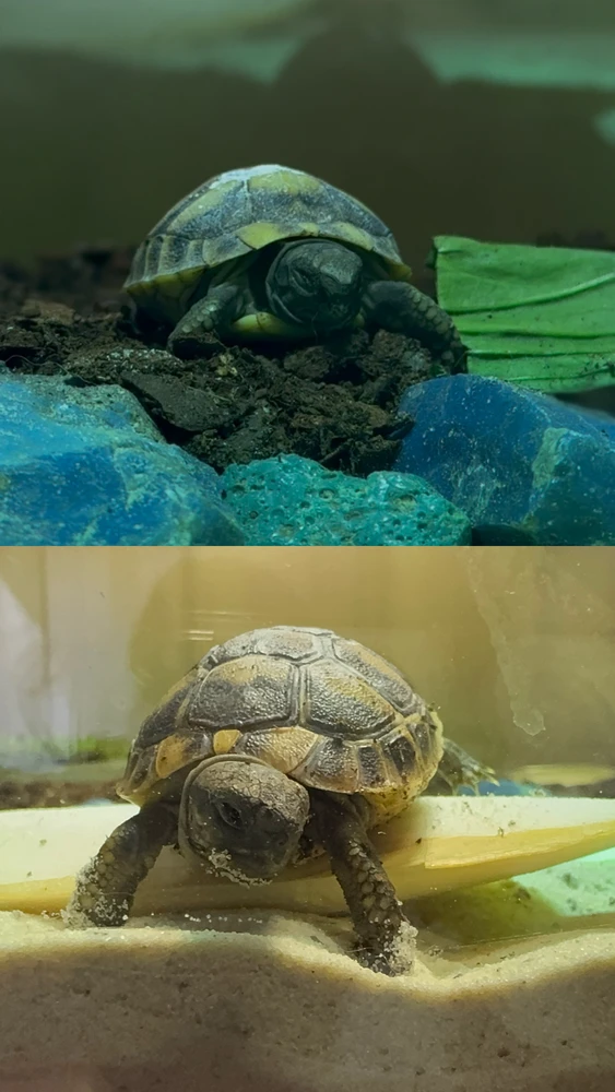 GIF hochgeladen von Angi