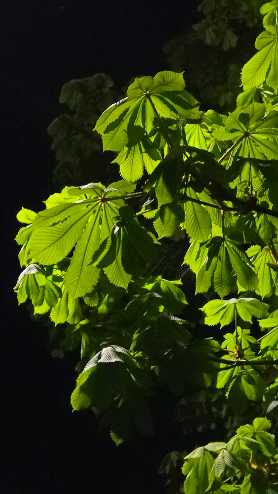 Зображення завантажив Maxym