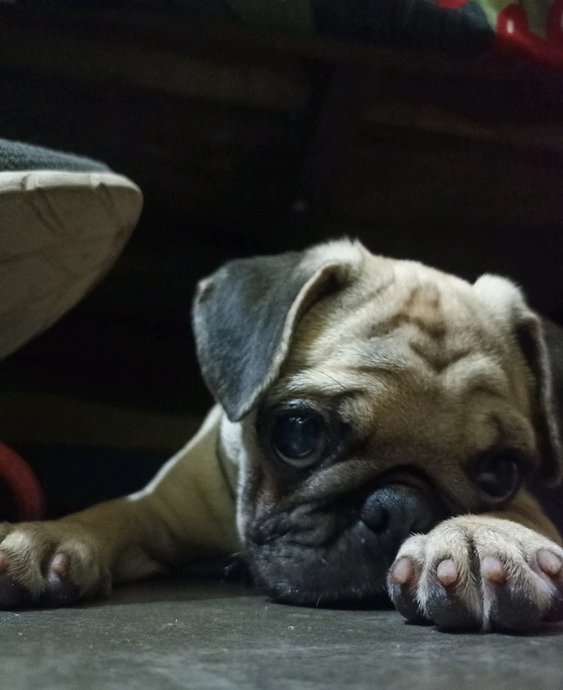 Harsh Vardhan द्वारा अपलोड किया गया GIF