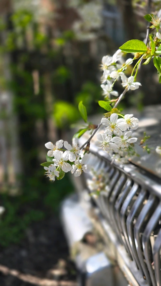 Зображення завантажив Maxym