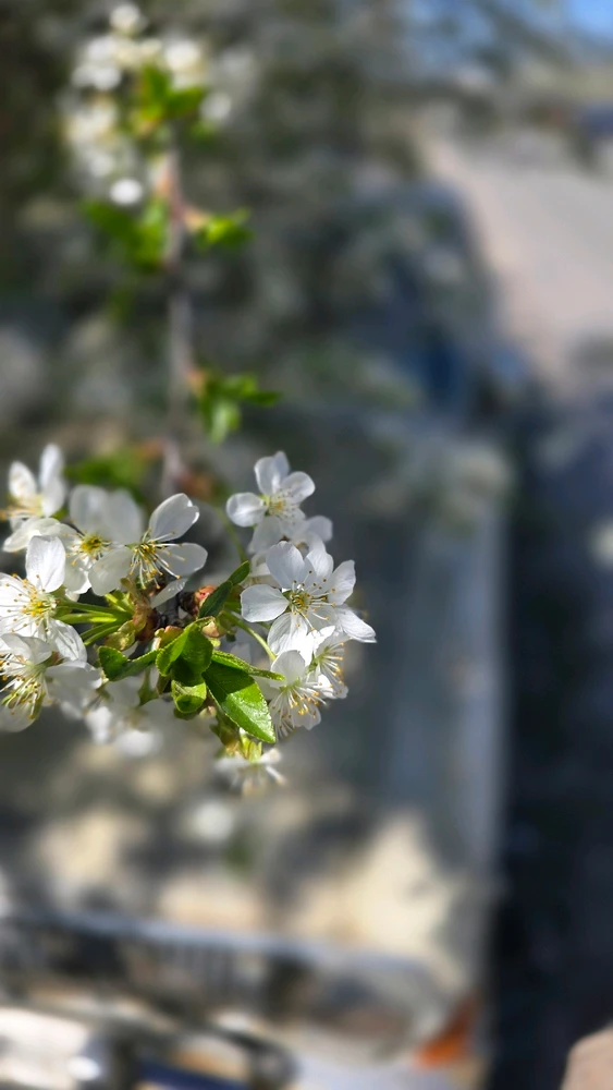 Зображення завантажив Maxym