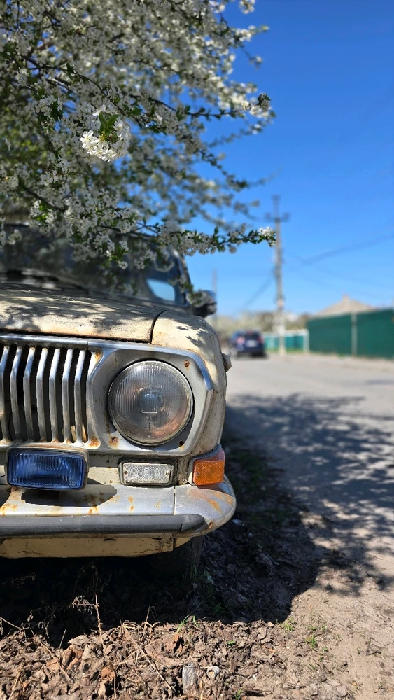 Зображення завантажив Maxym