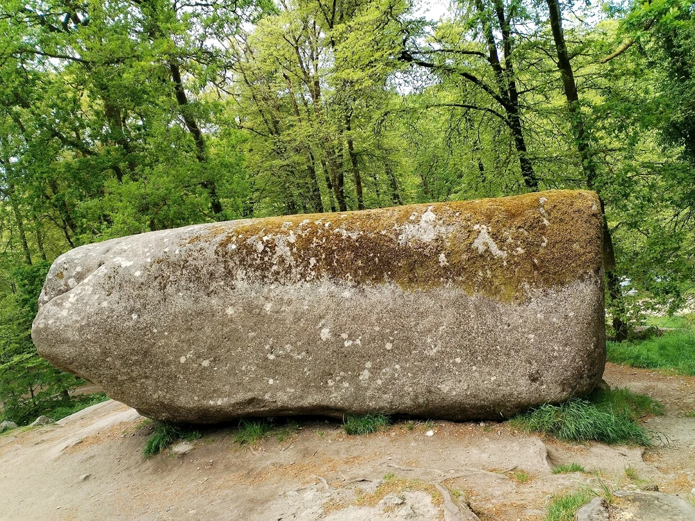 Image ajoutée par Aline
