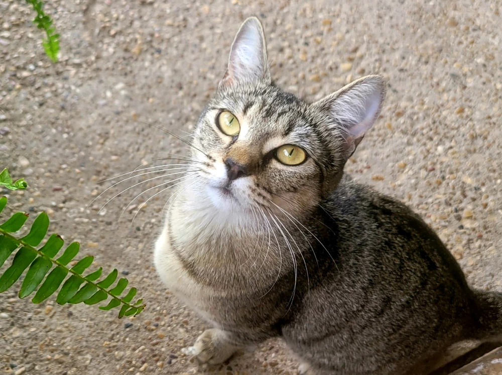 Image uploaded by 𔓎ꑀꌅ꒐ꈵꁲ𔓎