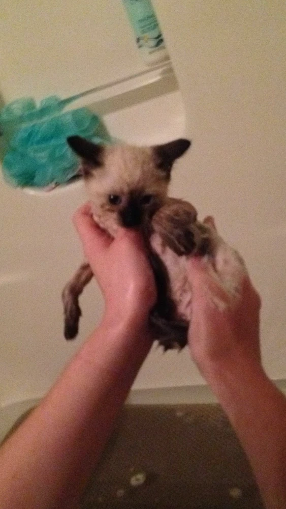 Image uploaded by Joseph