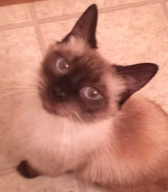 Image uploaded by Joseph