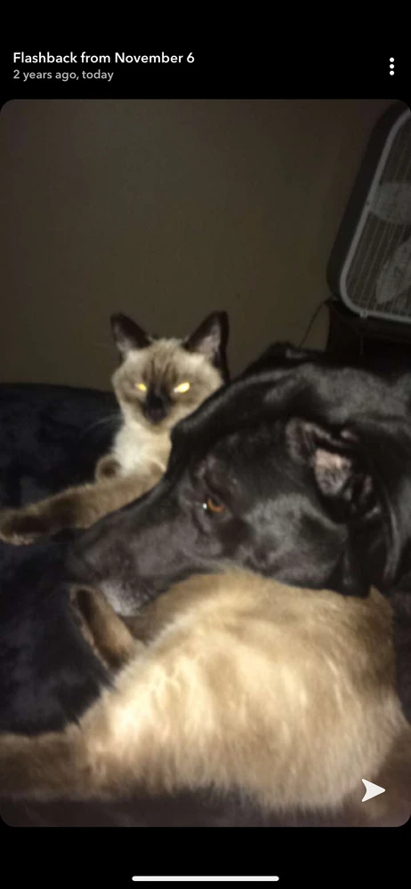 Image uploaded by Joseph